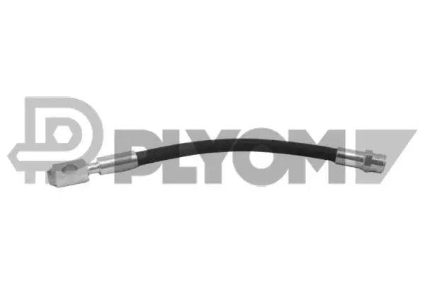 Brake Hose (P756588)