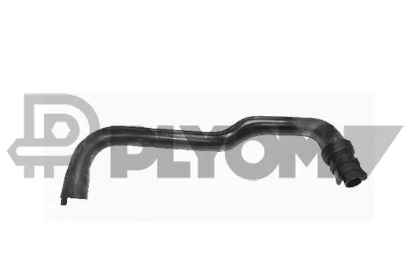 Radiator Hose (P036246)