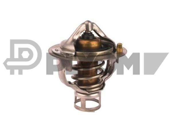 Thermostat, coolant (P756897)