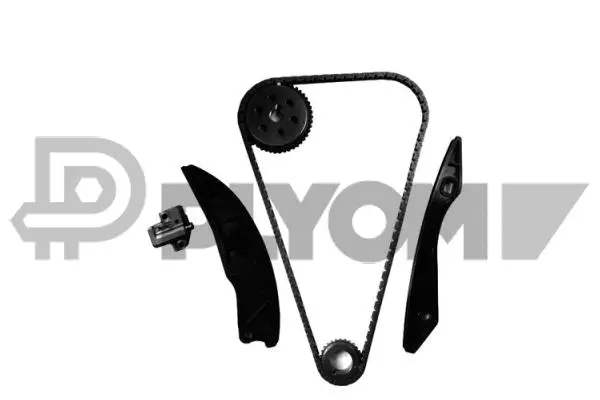 Timing Chain Kit (P752112)