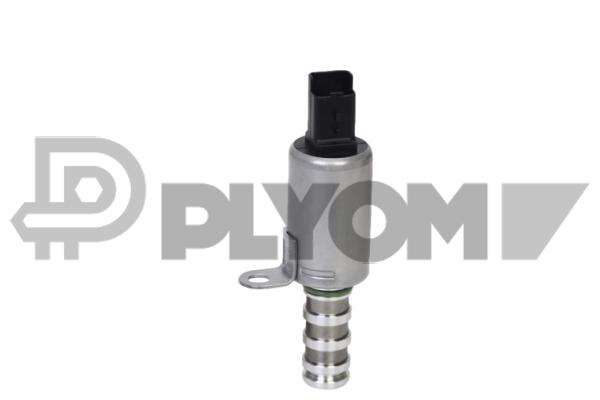 Central Valve, camshaft adjustment (P764478)
