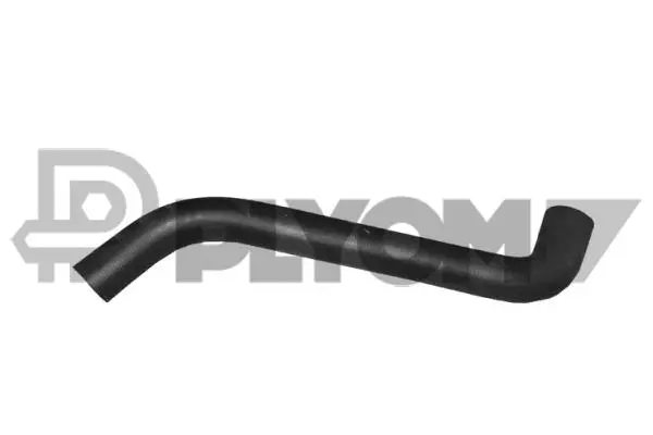 Radiator Hose (P016312)