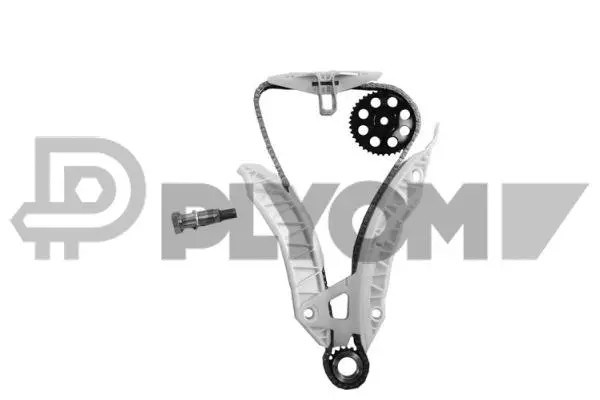 Timing Chain Kit (P752084)