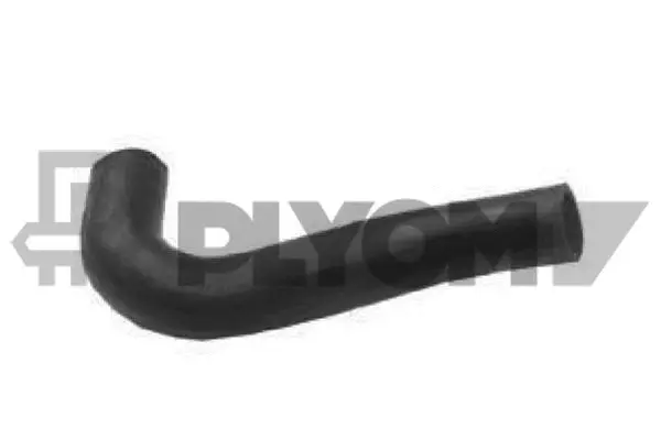 Radiator Hose (P016300)