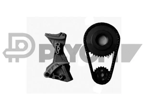 Timing Chain Kit (P752096)
