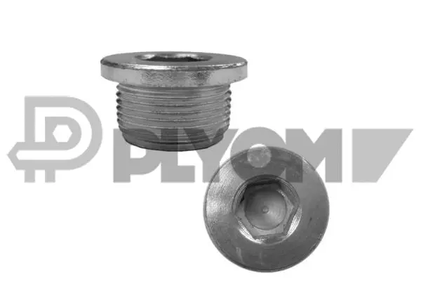Screw Plug, oil sump (P180934)