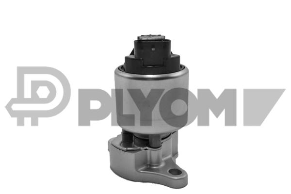 EGR Valve (P770103)
