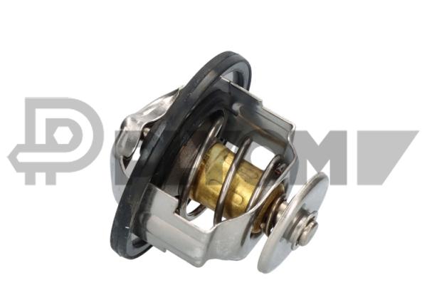 Thermostat, coolant (P756886)