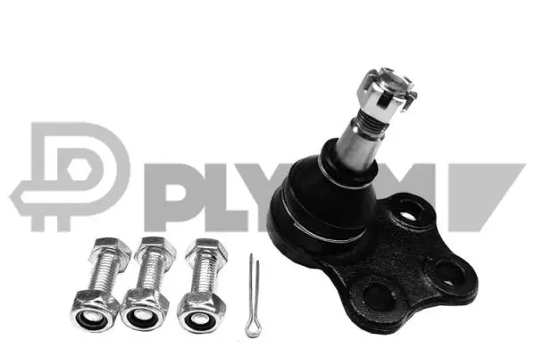 Ball Joint (P755022)