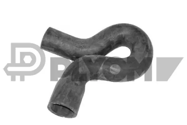 Radiator Hose (P036243)
