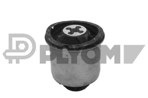 Bushing, axle beam (P021335)