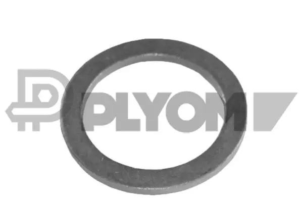 Seal Ring, oil drain plug (P954179)