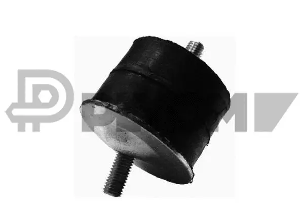 Mounting, engine (P020300)