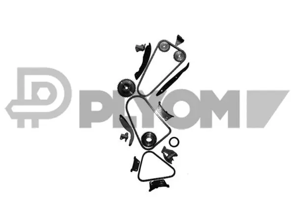 Timing Chain Kit (P752037)