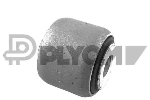 Bushing, axle beam (P759516)