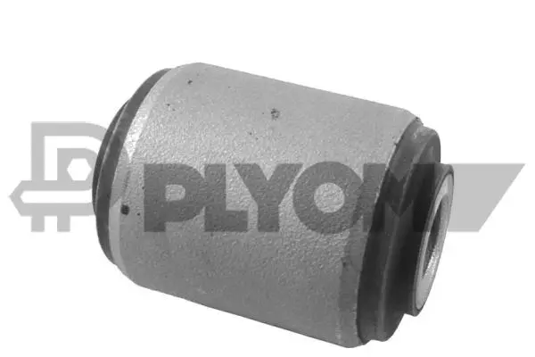 Bushing, axle beam (P759635)