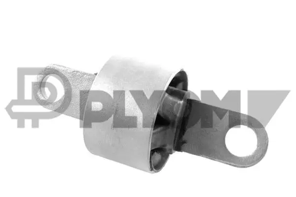 Bushing, axle beam (P759430)