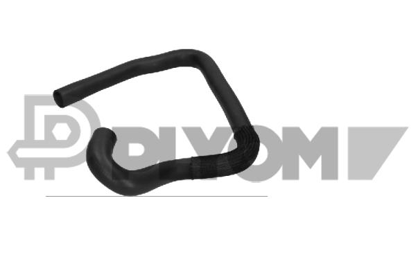 Radiator Hose (P036214)