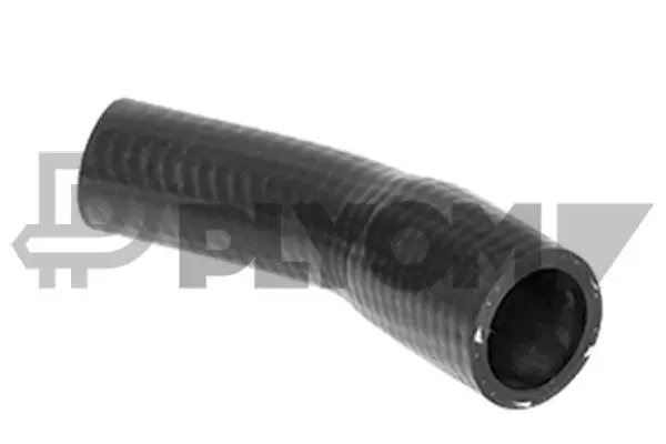 Radiator Hose (P036155)