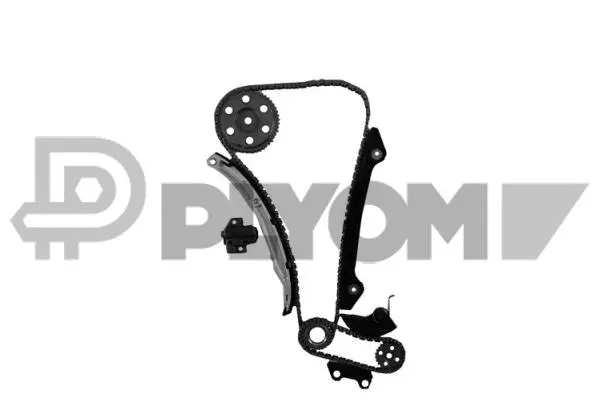 Timing Chain Kit (P752034)