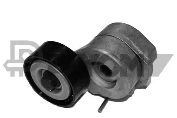 Repair Kit, v-ribbed belt tensioner (P770893)