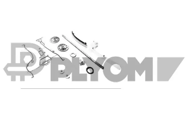 Timing Chain Kit (P774476)