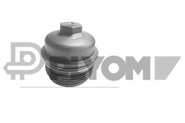 Cap, oil filter housing (P771493)