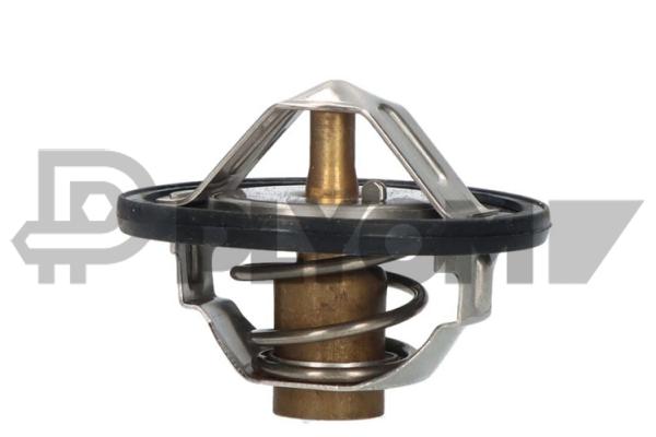 Thermostat, coolant (P756887)