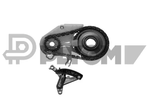 Timing Chain Kit (P752099)