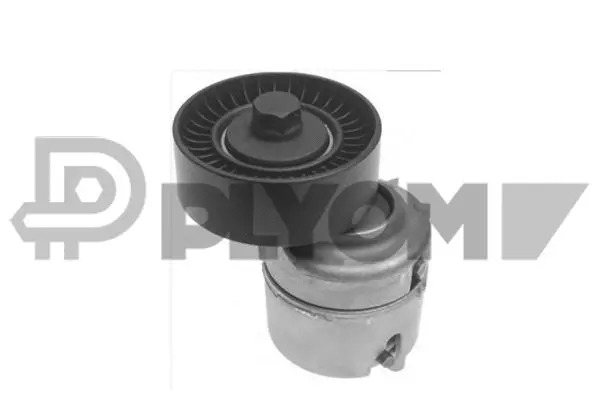 Repair Kit, v-ribbed belt tensioner (P770884)