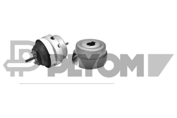 Mounting, engine (P776031)