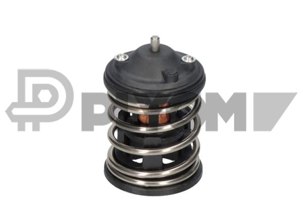 Thermostat, coolant (P772473)