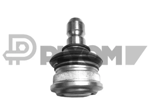 Ball Joint (P755074)