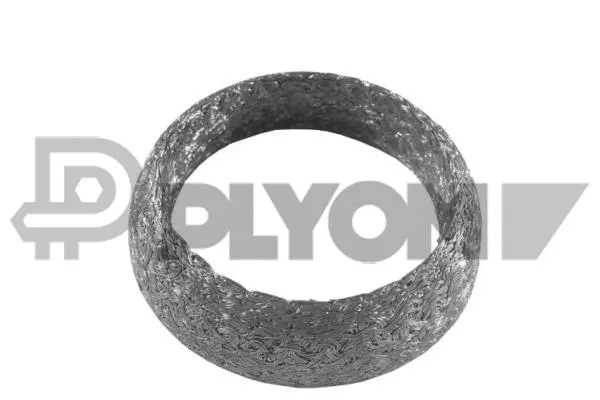 Seal Ring, exhaust pipe (P954276)