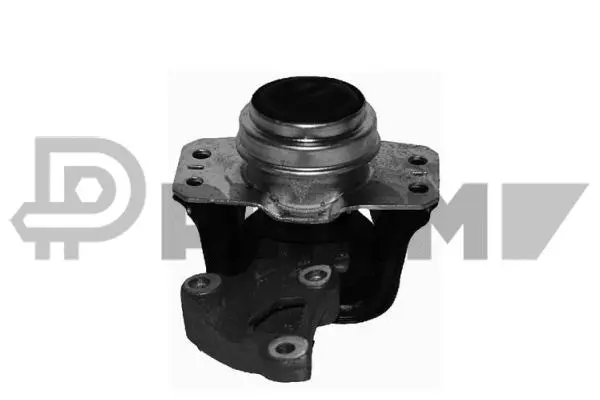 Mounting, engine (P031173)