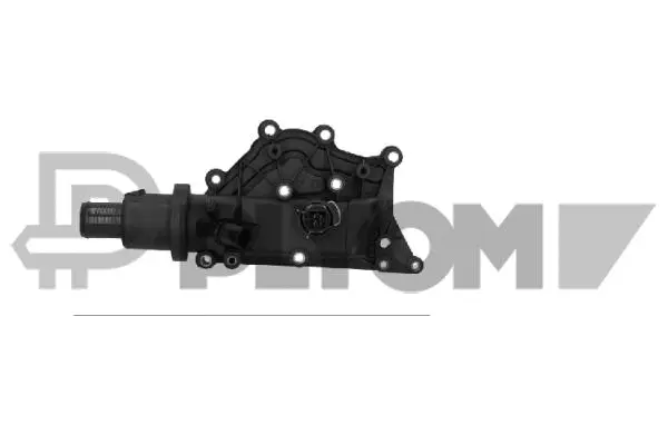Thermostat, coolant (P758419)