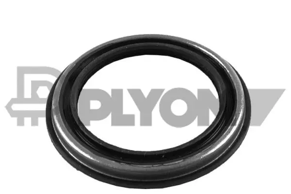 Shaft Seal, wheel hub (P758577)