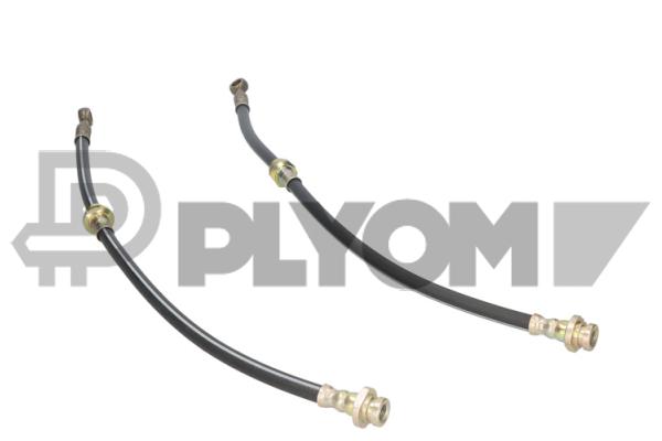 Brake Hose (P060009)
