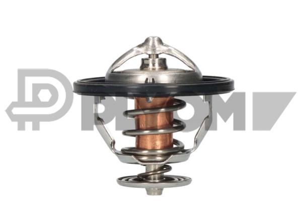 Thermostat, coolant (P756879)