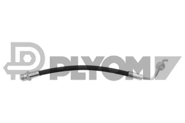 Brake Hose (P756144)