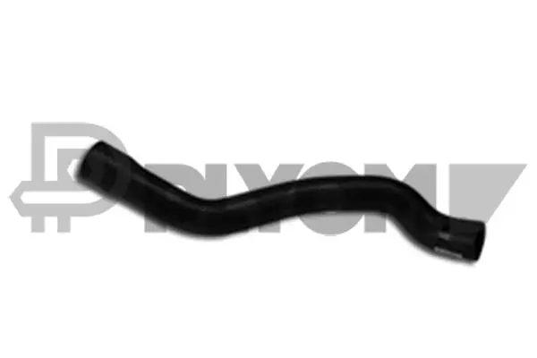 Radiator Hose (P186051)
