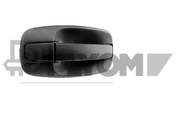 Exterior Door Handle (P767777)