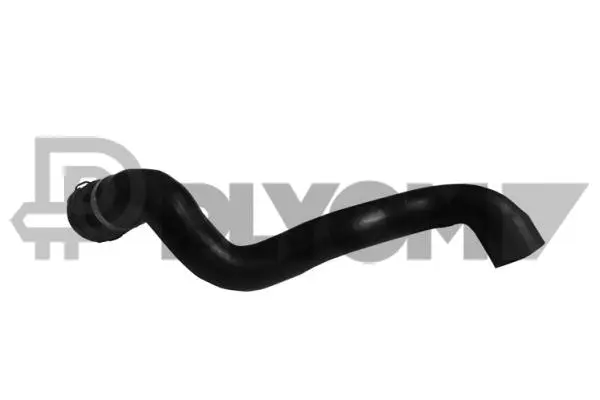 Radiator Hose (P753898)