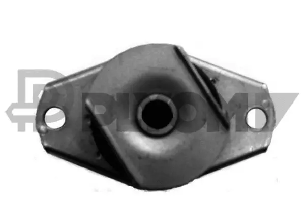 Mounting, engine (P010629)