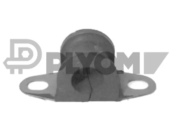 Bushing, stabiliser bar (P766723)