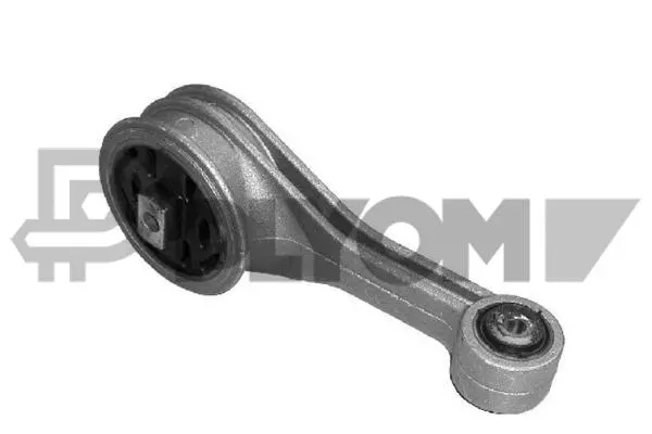 Mounting, engine (P080204)