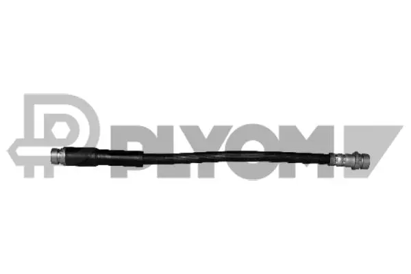 Brake Hose (P081099)