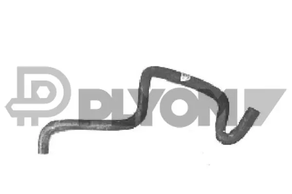 Radiator Hose (P026198)