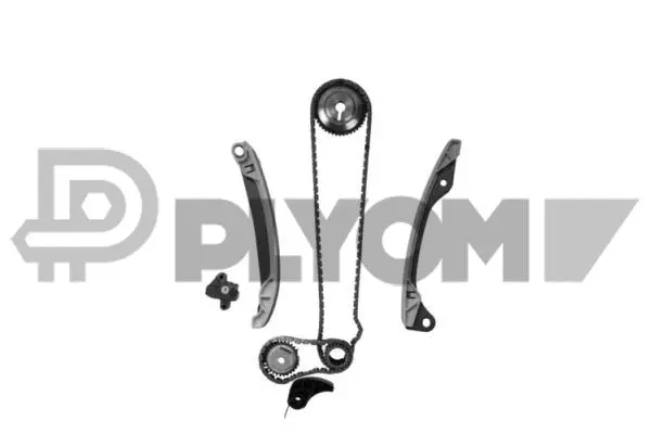 Timing Chain Kit (P752113)