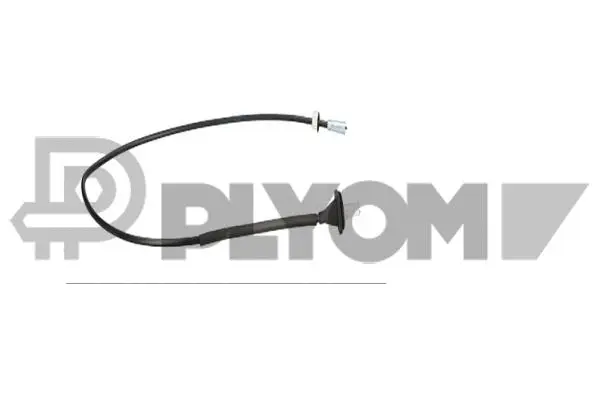 Speedometer Cable (P489119)